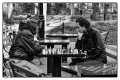joueurs d echec nyc